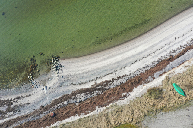 Dronebillede af strand